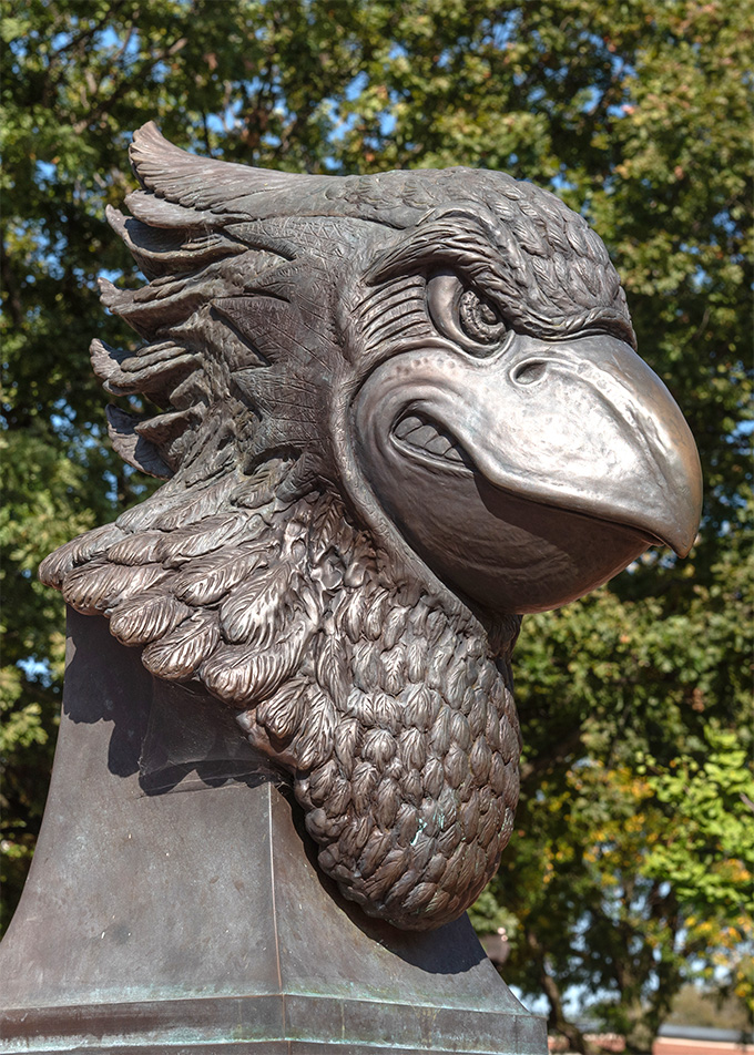 Reggie Redbird in Redbird Plaza